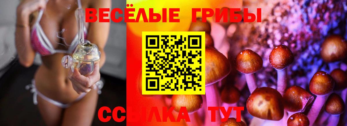 Галлюциногенные грибы Cubensis Воткинск